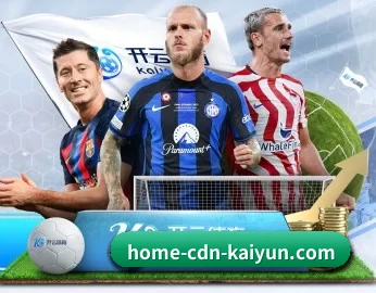 开云体育 APP 深度功能 | kaiyun